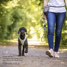 Load image into Gallery viewer, Curli Leash