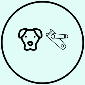 Canine Nail Trim - Starting Price $10.00