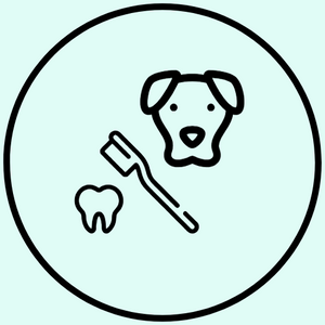 Teeth Brushing Grooming Add-On - $5.00
