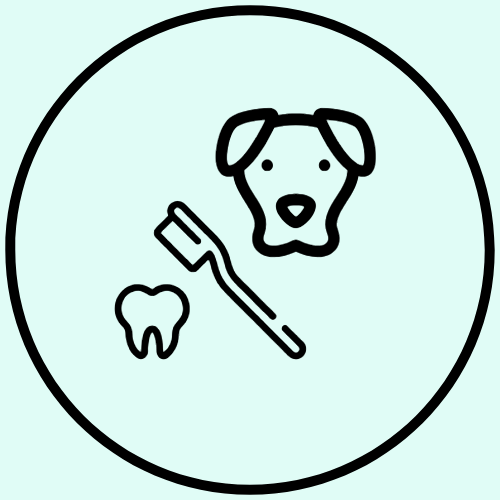 Teeth Brushing Grooming Add-On - $5.00
